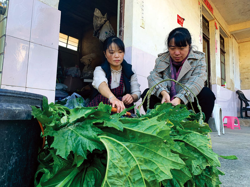 妯娌同心，一起做家务、干农活.jpg