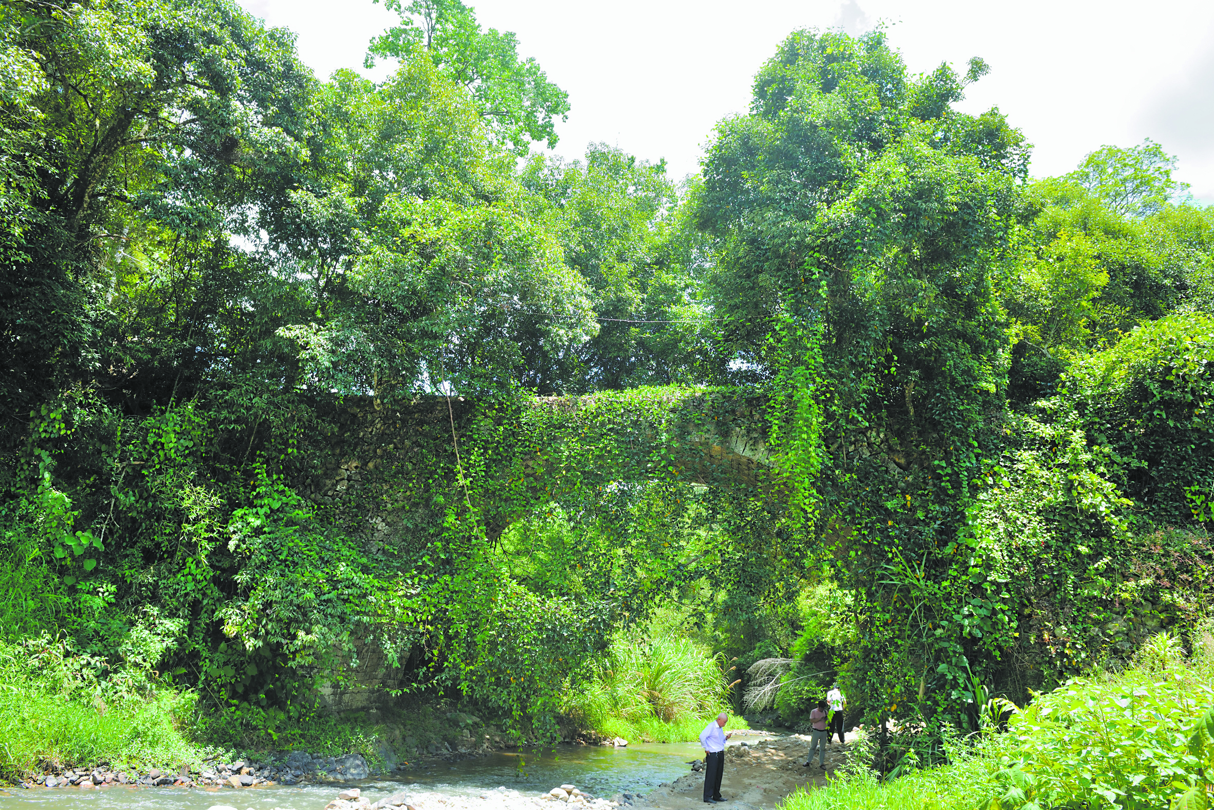 西城桥雄姿.jpg