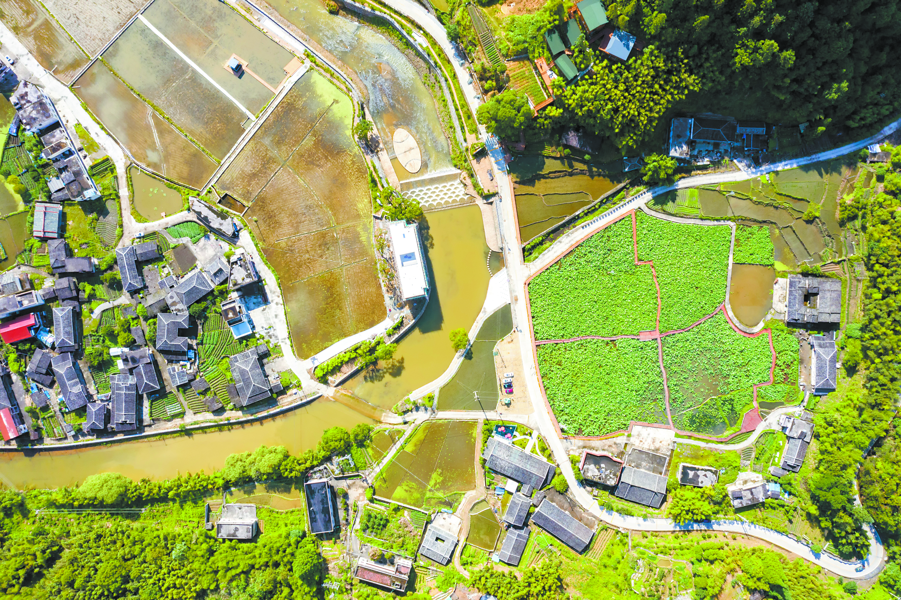 航拍曾坂村 （赖建明 摄）2.jpg