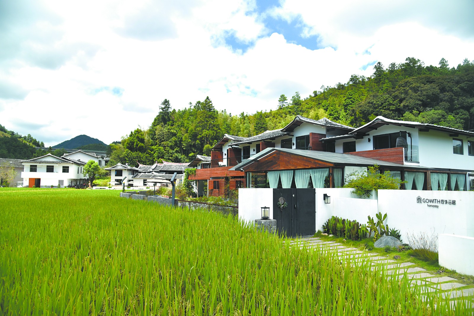 把稻田旁的古厝改造成民宿。.JPG