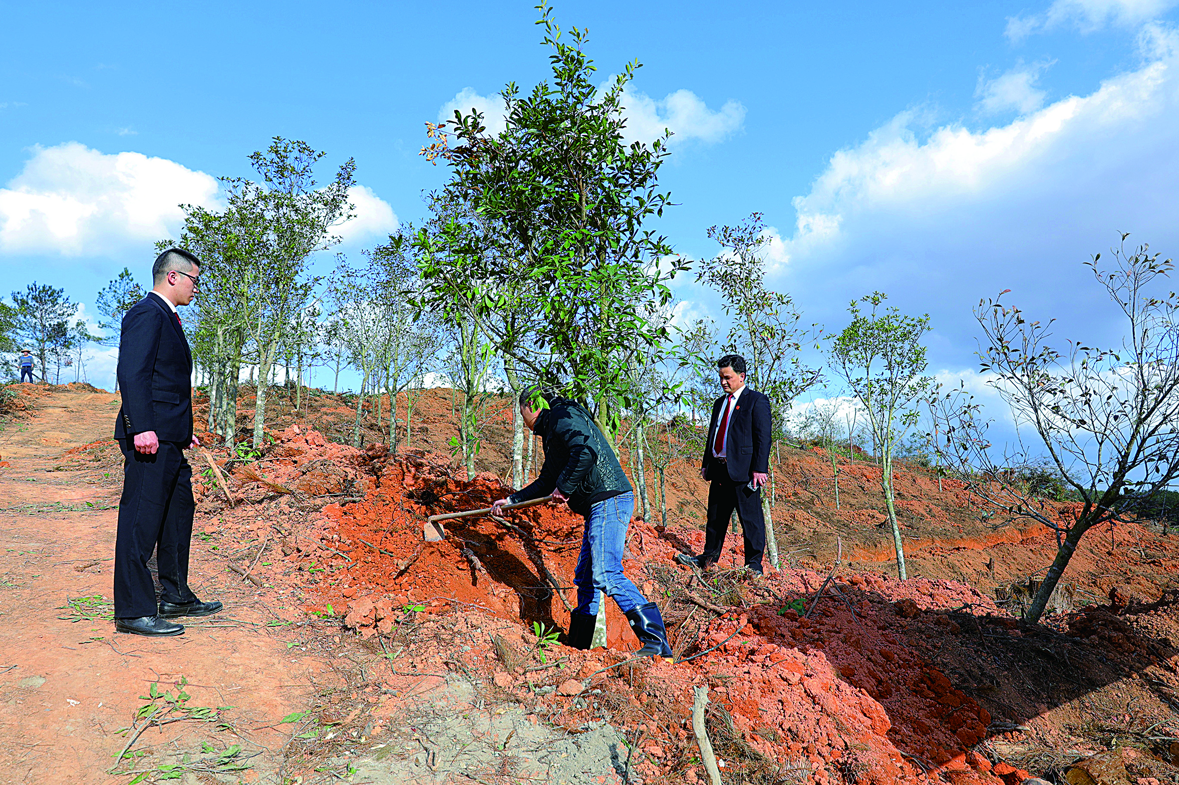 被告人在生态司法保护教育基地补植复绿.jpg