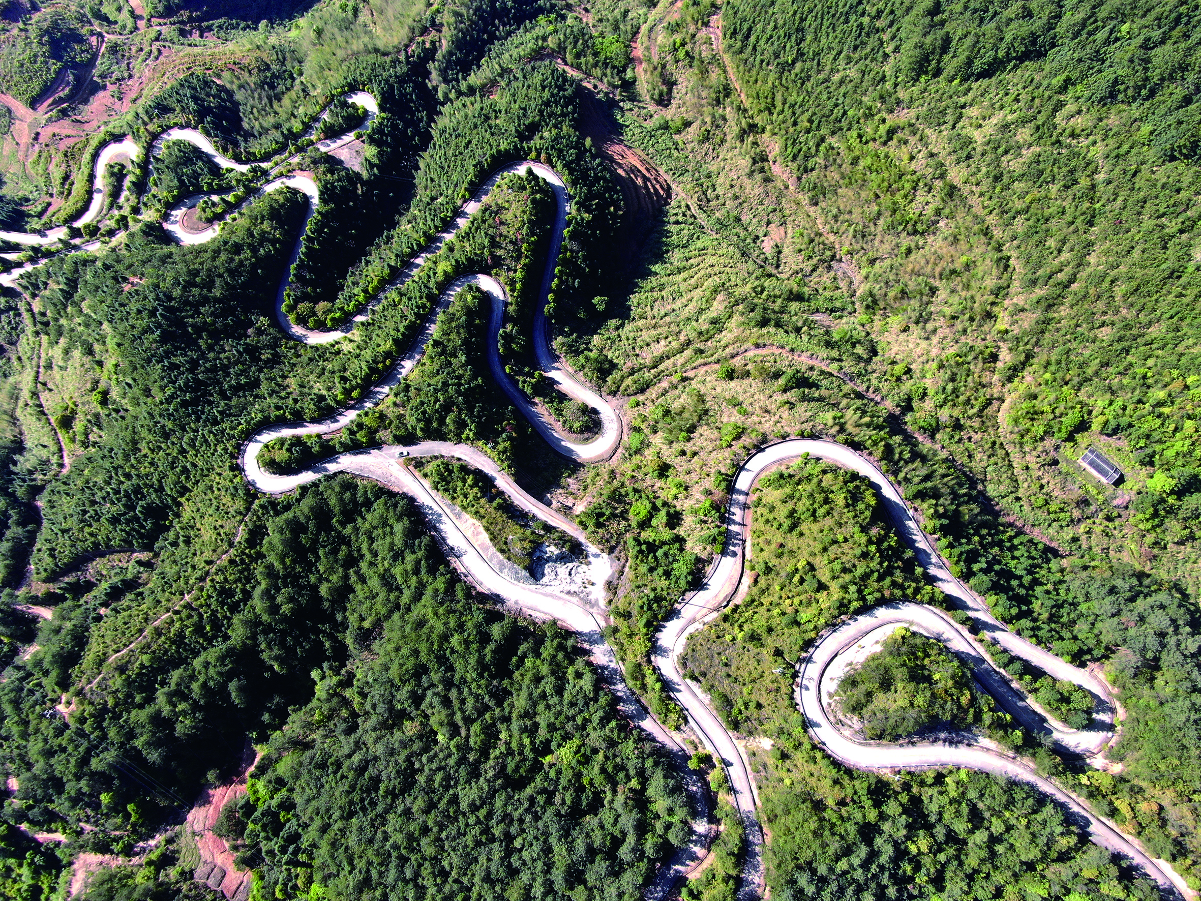 春美乡旧公路（陈燕婷 供图）.jpg