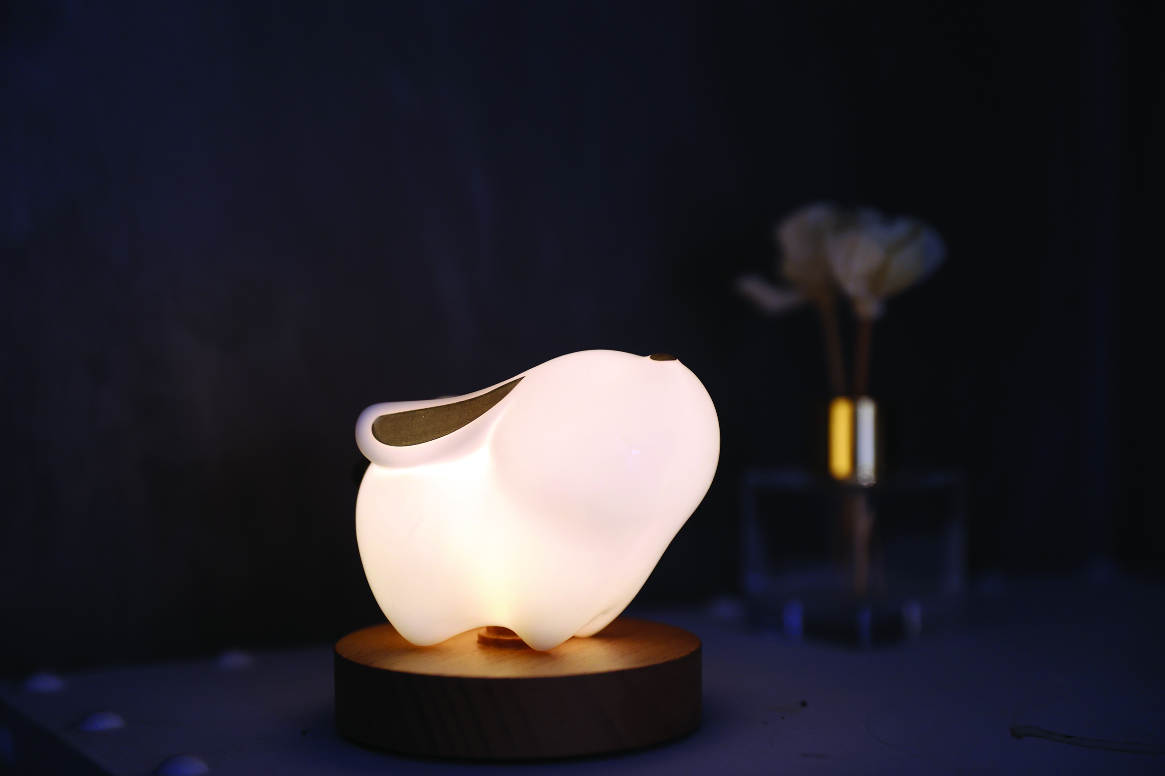 兔型小夜灯（陈小阳  摄）.JPG