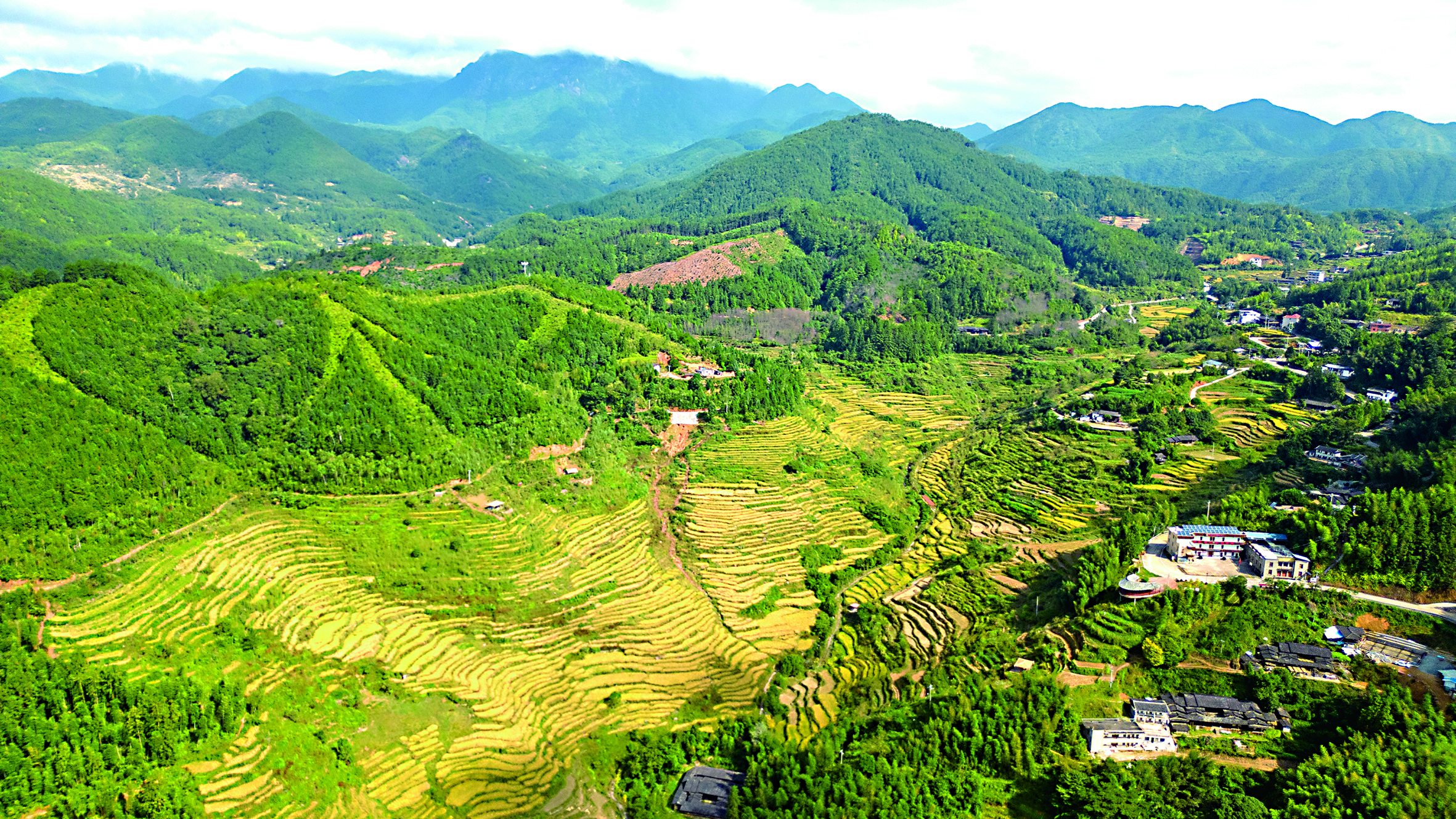 DJI_0435.jpg