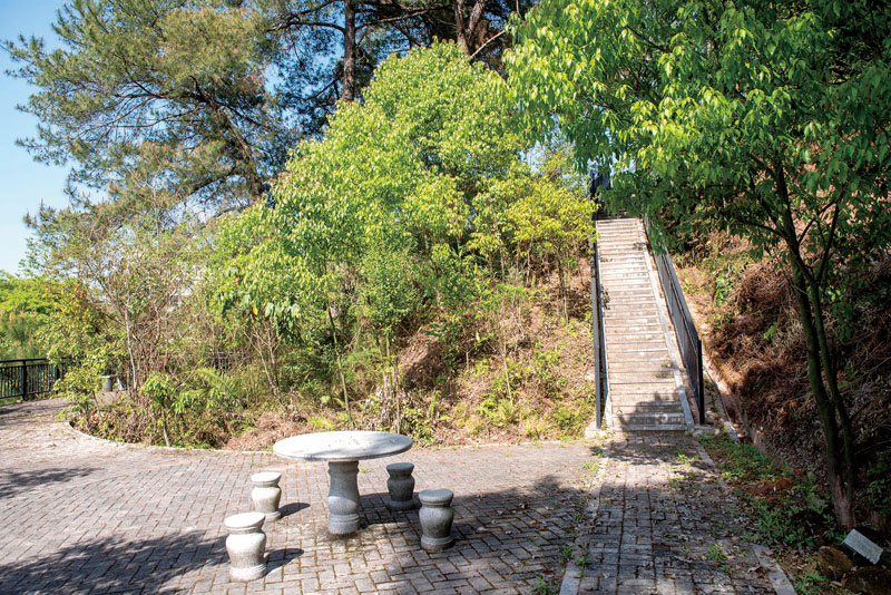 中医院将中草药与旅游观光结合，打造百草园.jpg
